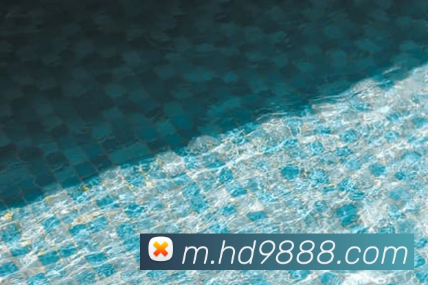 奖项图3